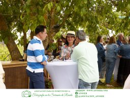 Festival Mar de Tethys 2026 - Bodega Vetas